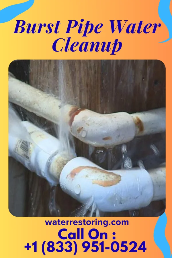 Burst Pipe Water Cleanup in Blue Springs, NE