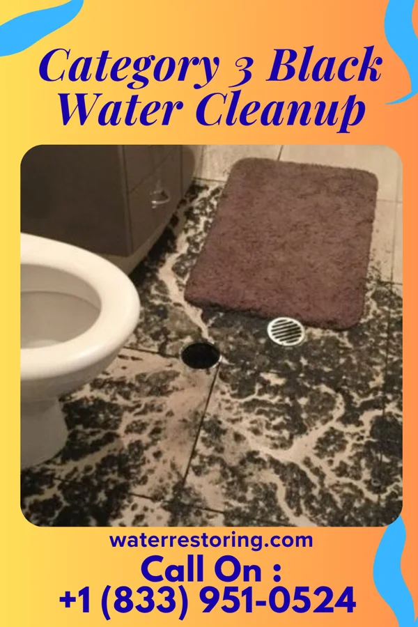 Category 3 Black Water Cleanup in Blue Springs, NE